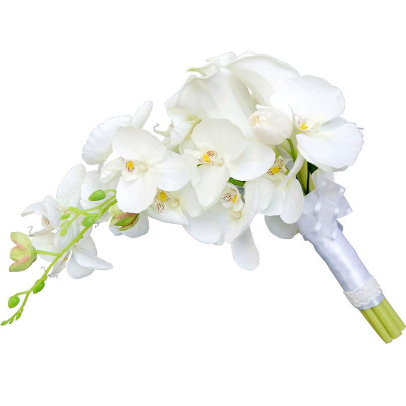 Pernikahan romantis Perancis c - Home Fragrance In French ulasan dan harga